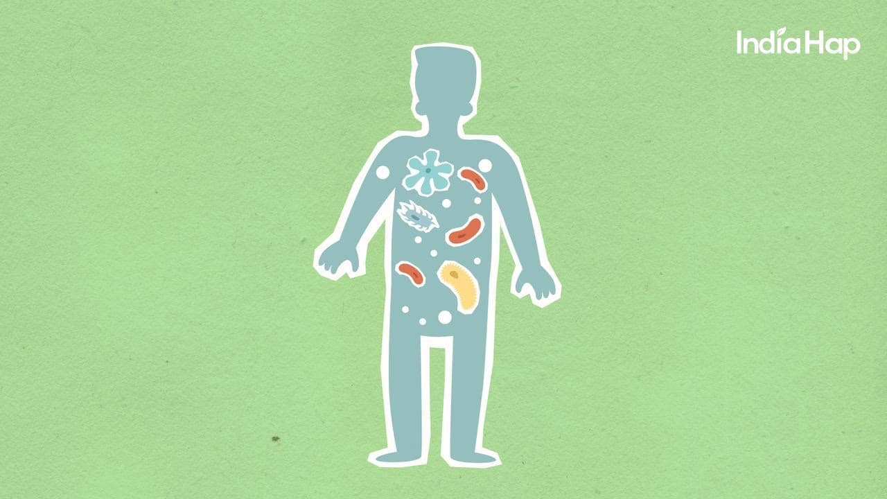 How to Care for Your Immune System Naturally
